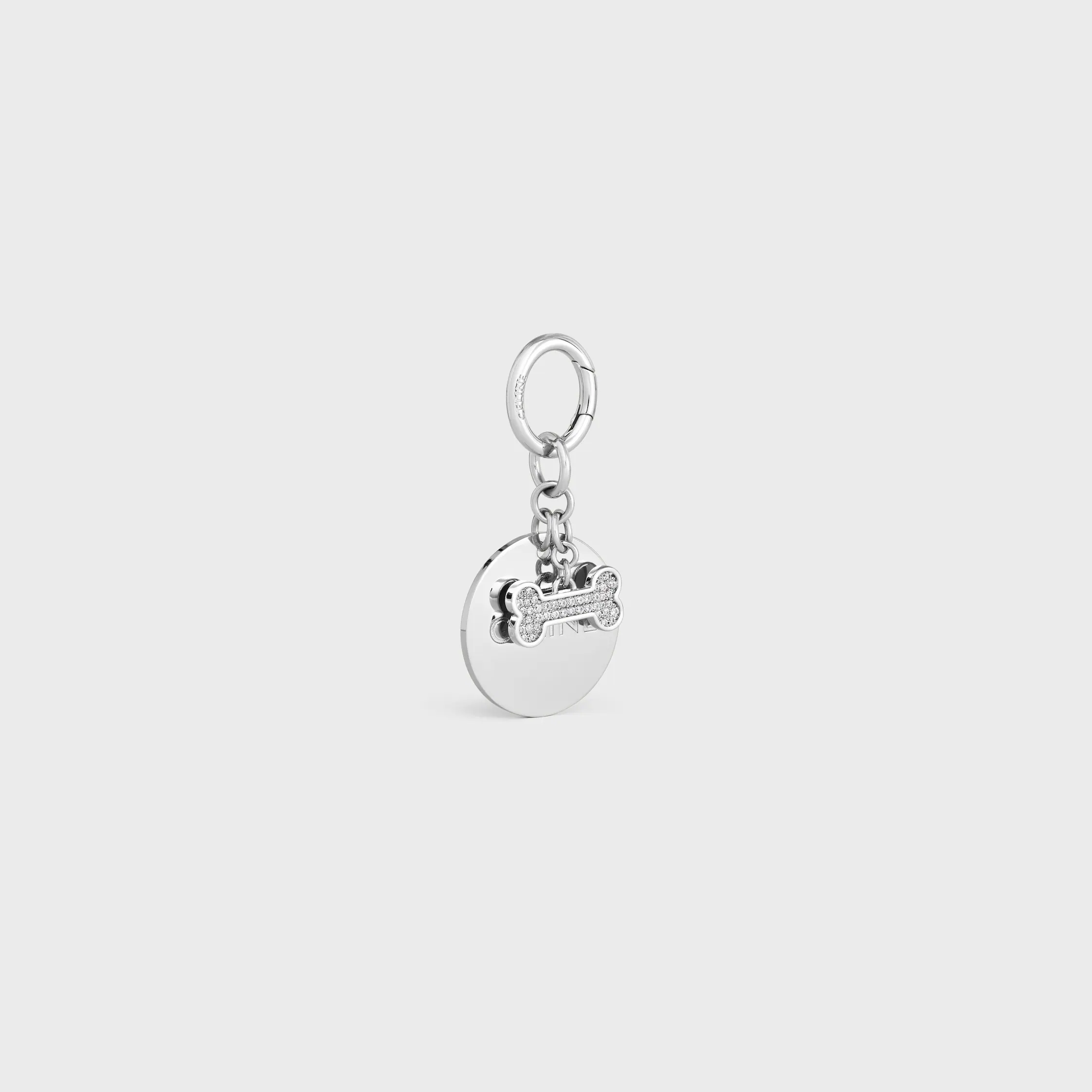 Pendentif en laiton avec strass pour chien